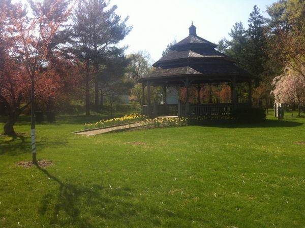 Upper Merion named a 2016 Tree City USA by Arbor Day Foundation