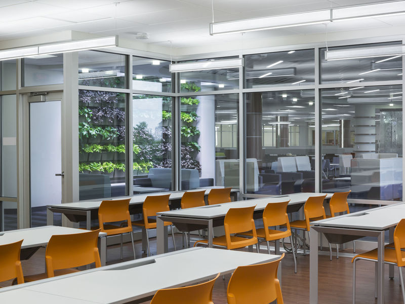 Essex County College Preps 4M Student Center (Get A Sneak Peak