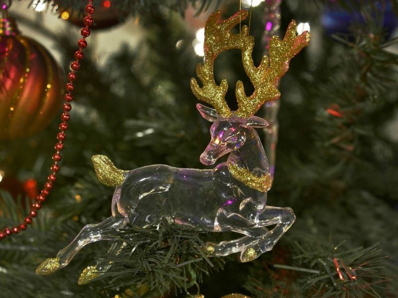 new haven police southern ct state collaborate for friends of rudolph - Rudolph And Friends Christmas Decorations new haven police southern ct state collaborate for friends of rudolph - Rudolph And Friends Christmas Decorations