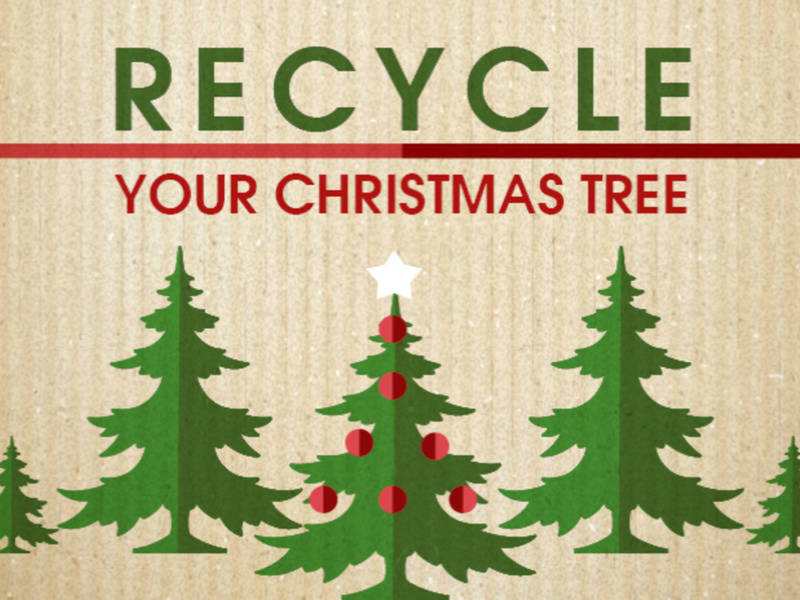 How To Dispose Of Your Christmas Tree In Abington Abington, PA Patch How To Dispose Of Your Christmas Tree In Abington - How To Dispose Of Your Christmas Tree In Abington Abington, PA Patch