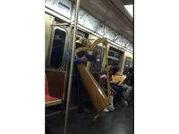 VIDEO: Harp Player Amazes A Train Passengers