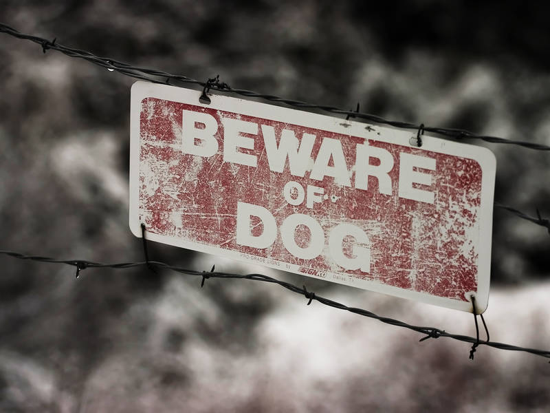 13 Dog Attacks On Postal Workers In Union County Last Year