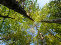 Trailside’s Wild Earth Fest Will Be Held April 29