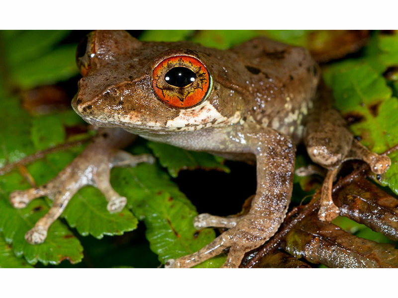 Texas Researchers Compile Largest Data Set For Most Accurate