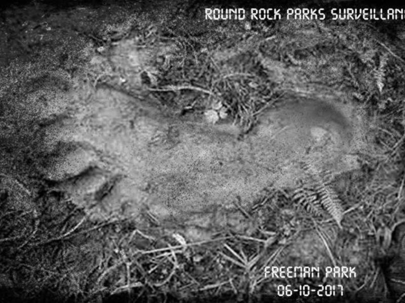 round rock officials reveal the truth sort of on local bigfoot