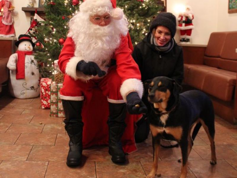 PHOTOS Adorable Pets Meet Santa at Woburn Animal Hospital Woburn, MA