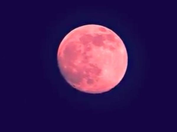 Rare Strawberry Moon Rises First Day Of Summer Plus | rare strawberry moon rises first day of summer plus Rare Strawberry Moon Rises First Day Of Summer Plus | rare strawberry moon rises first day of summer plus