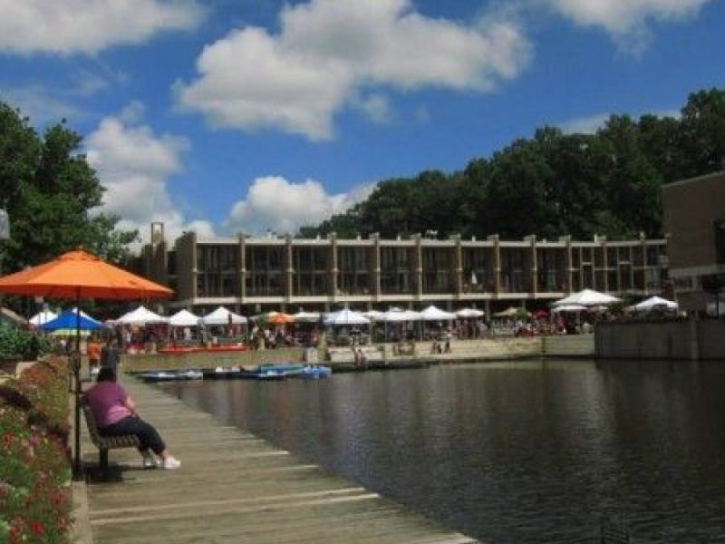 Reston's Lake Anne Plaza Hosting a 'Polar Dip' This Saturday that Won't