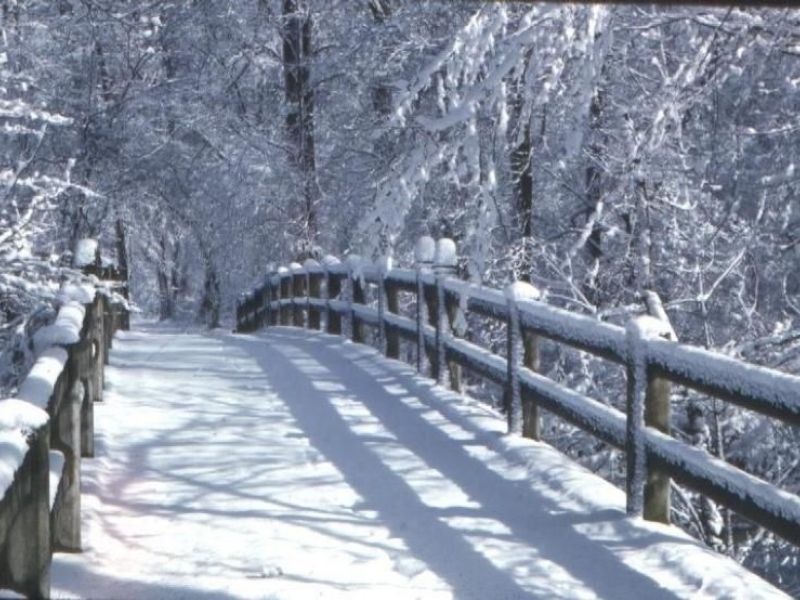 Arlington Weather Update Huge Snowfall is Coming, Here's How Much We