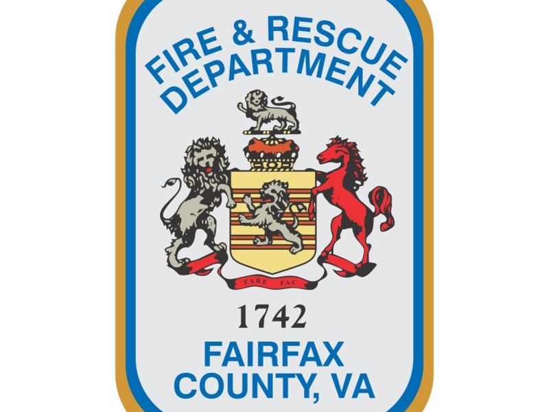 fairfax county bird rescue fairfax county bird rescue