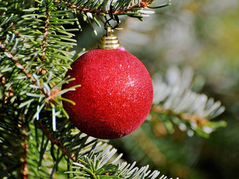 christmas trees in dc where to buy in 2017 washington christmas trees in dc where to buy in 2017 washington
