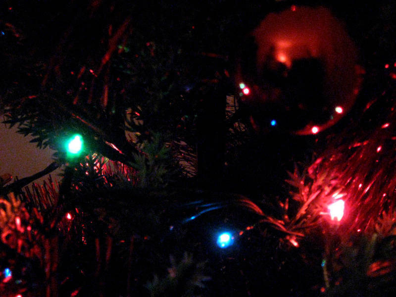 somerville christmas tree lighting announced somerville somerville christmas tree lighting announced somerville