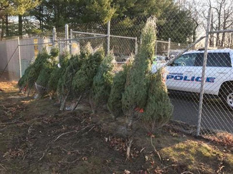 waterford police offering free christmas trees for needy families - Free Christmas Trees For Low Income Families waterford police offering free christmas trees for needy families - Free Christmas Trees For Low Income Families