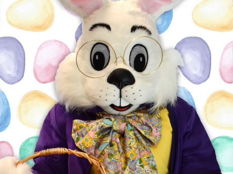 Avalon Alpharetta Ga >> Easter Bunny to Visit the Alpharetta Welcome Center | Alpharetta, GA Patch Avalon Alpharetta Ga >> Easter Bunny to Visit the Alpharetta Welcome Center | Alpharetta, GA Patch