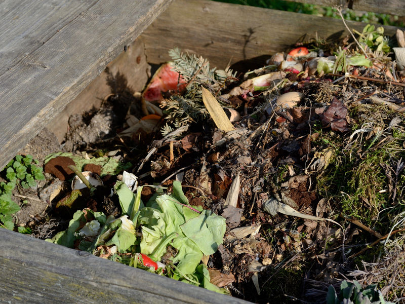 Sa recycling coupon murrieta ca