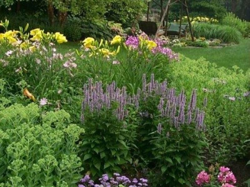 Rating Gardening Centers Near Pearl River Ny Patch