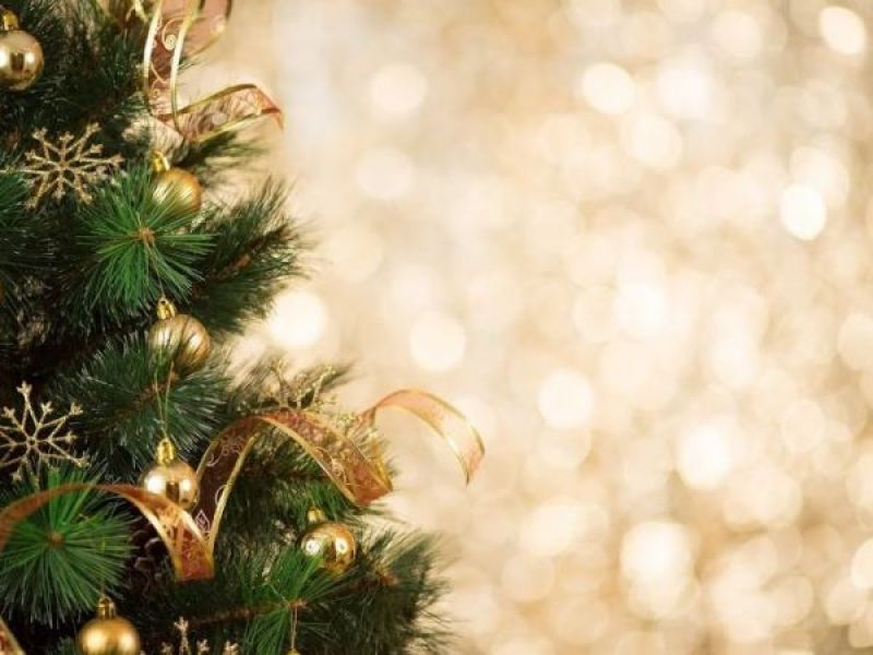 san diego s christmas tree recycling program ends monday san diego s christmas tree recycling program ends monday