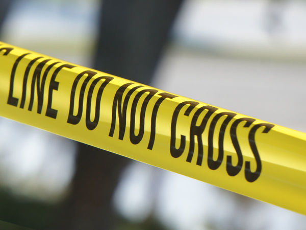 Woman killed outside Northern California wildlife museum