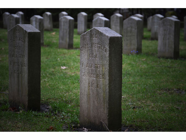 confederate_graves_at_forest_hill_cemetery_madison_wisconsin_4-27-2011_023-1502985994-1669.jpg