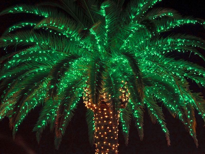 holiday lights in the gardens set to open for season this christmas cd chris brown