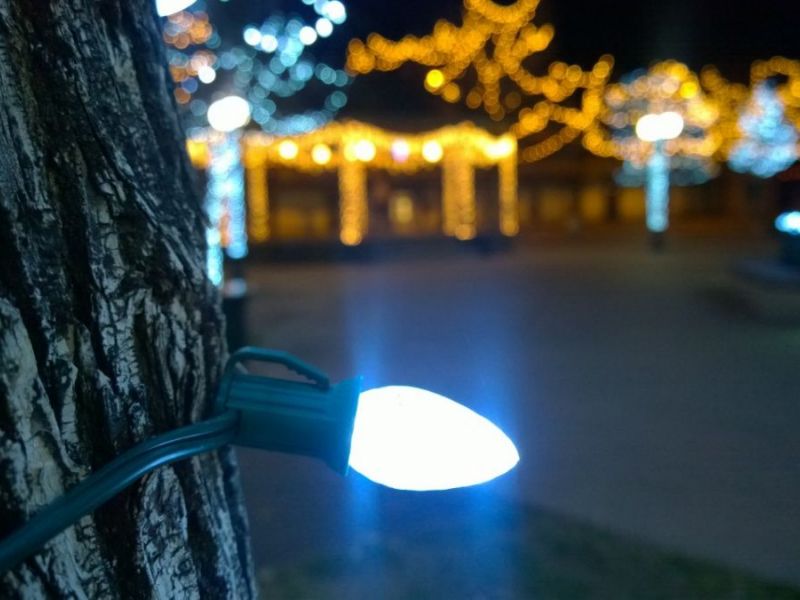starkey park to host 2016 wilderness wonderland starkey park to host 2016 wilderness wonderland