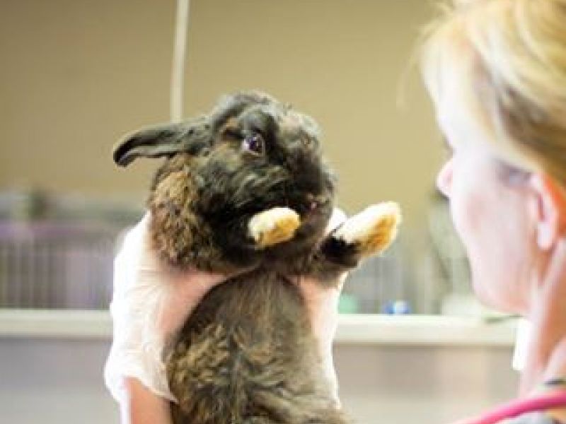 Theyre out of control