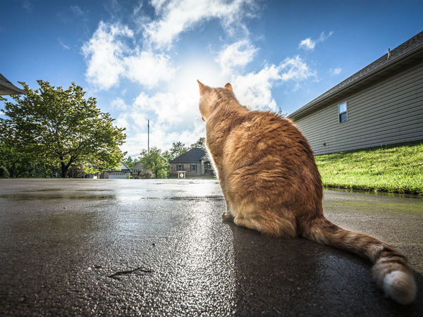 Home 101: When Do I Need To Reseal My Driveway?
