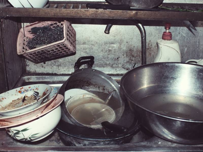 Gaithersburg Restaurant Inspections: Don Pollo, Godavari, Zam Zam