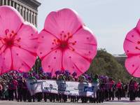 National Cherry Blossom Festival Parade 2018 Guide