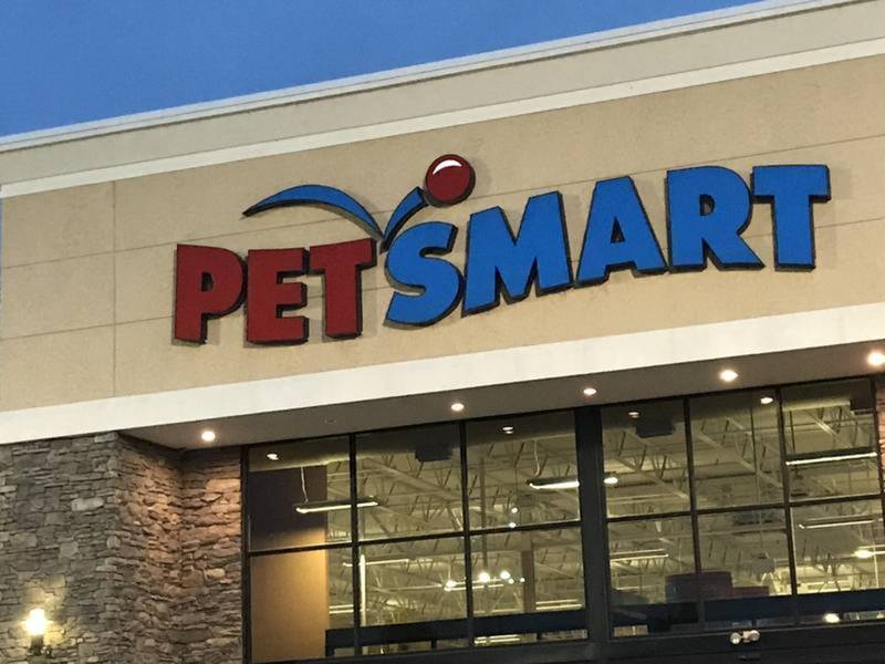 Animals Seized At Bellevue PetSmart 'Doing Better' Green Hills, TN Patch