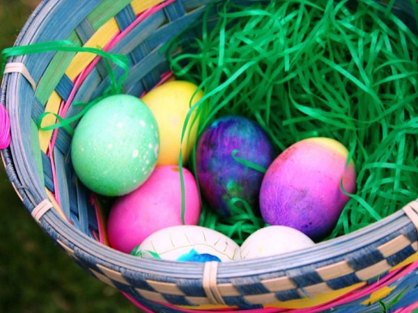 Adult Easter Egg hunt at Mortimer Farms Adult Easter Egg hunt at Mortimer Farms