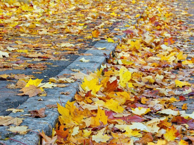 berea releases leaf pick up schedule middleburg heights oh patch