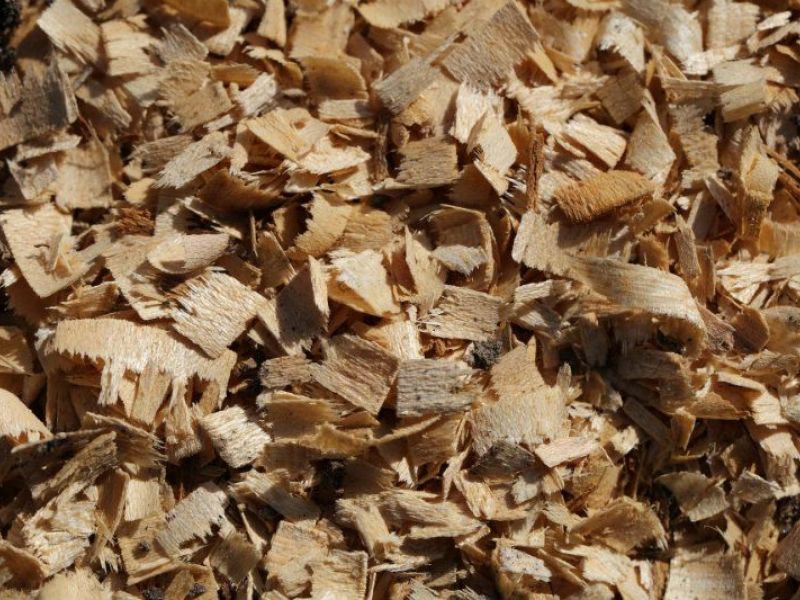 wood chips leaf humus