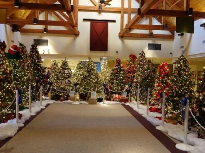 Visit Bucks County's 11th Annual Holiday TreeFest Starts Nov. 22