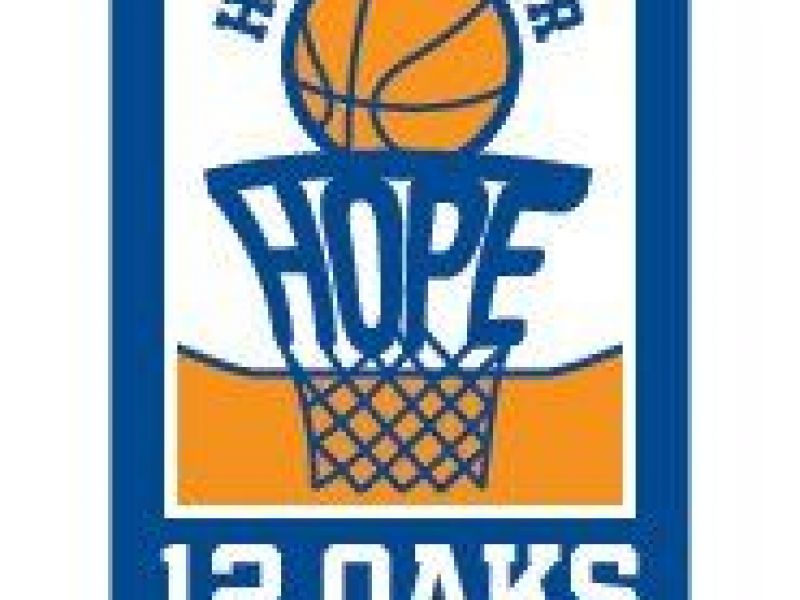 Hoops for Hope 3v3 Basketball Tournament Grayslake, IL Patch
