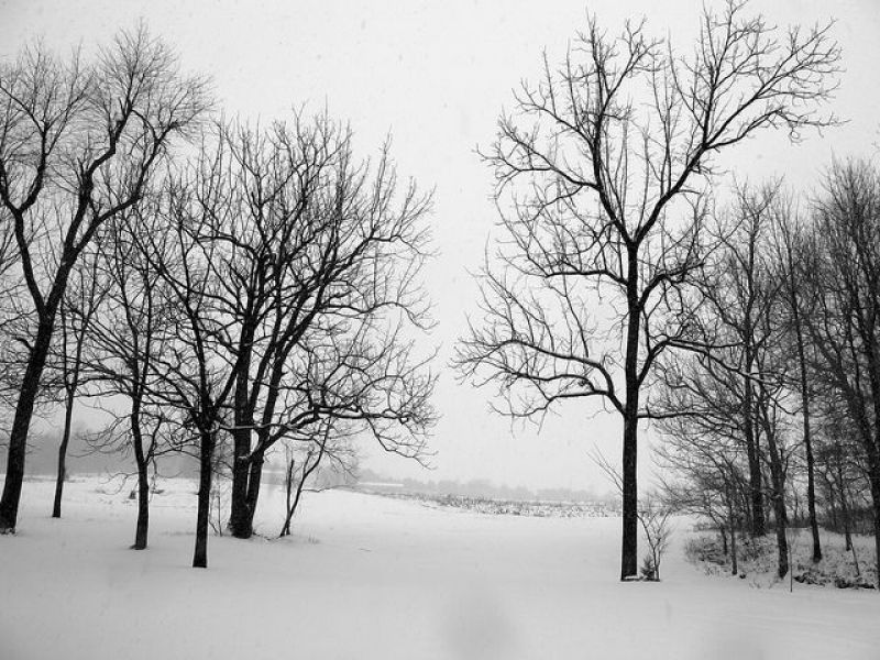 Detroit Area Weather Forecast: Seven-Day Look - Patch.com