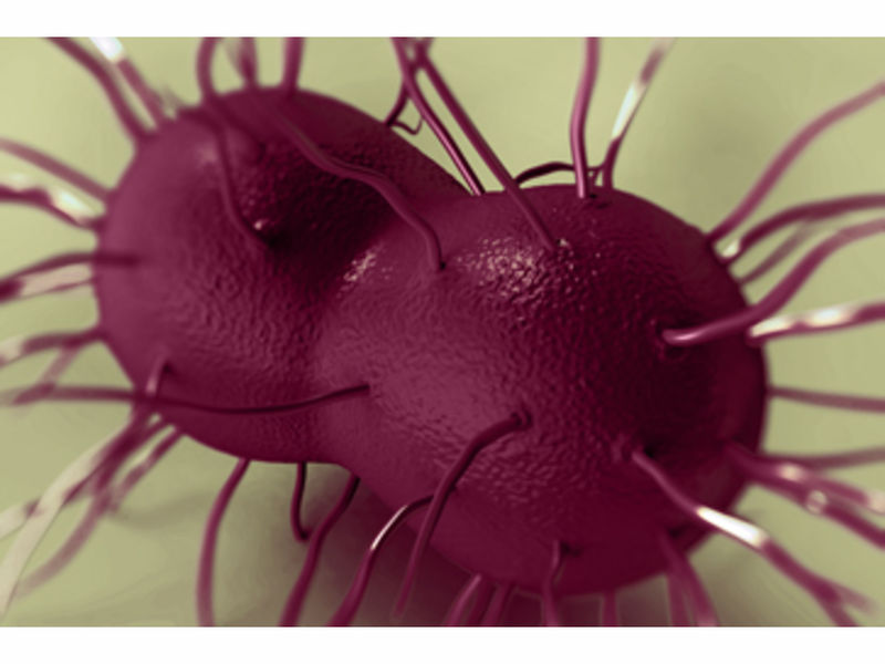 Gonorrhea On The Rise In Pierce County Health Department Lakewood