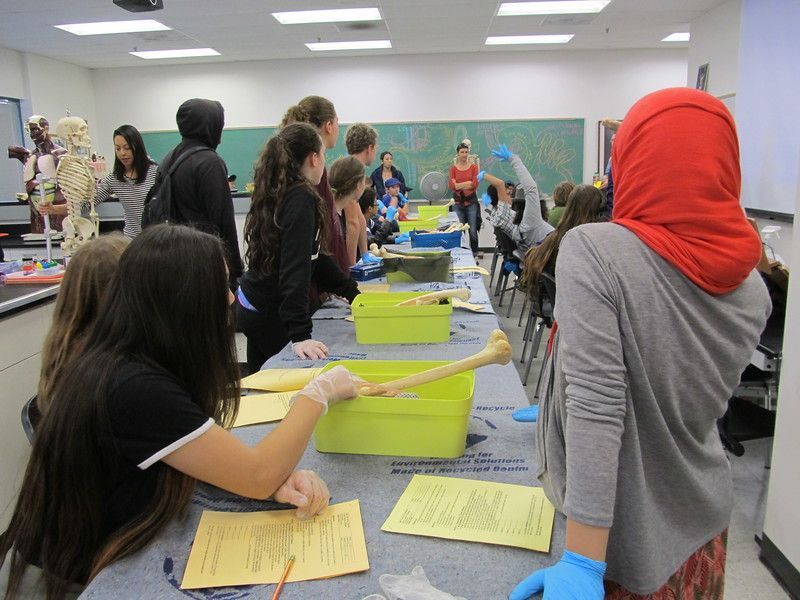 The College Of Alameda Host 8th Grade Science Exploration Day Alameda