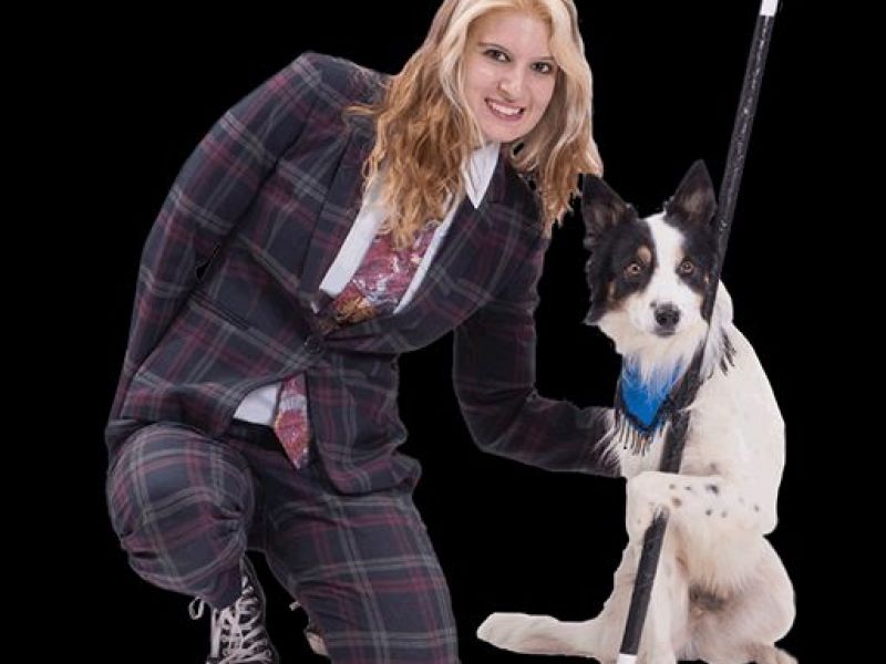 Mutts Gone Nuts Comedy Dog Stunt Show To Hold Charity Performance