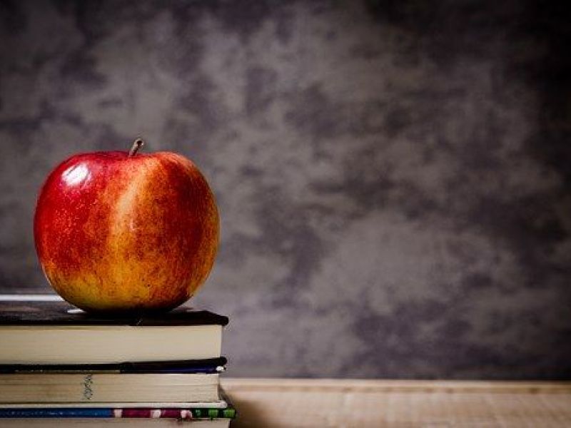 about healthy essay kolkata in hindi