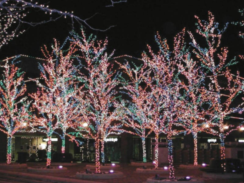 Holiday Tree Lighting Ceremony Lights Up Downtown Highland Park Holiday Tree Lighting Ceremony Lights Up Downtown Highland Park - Holiday Tree Lighting Ceremony Lights Up Downtown Highland Park