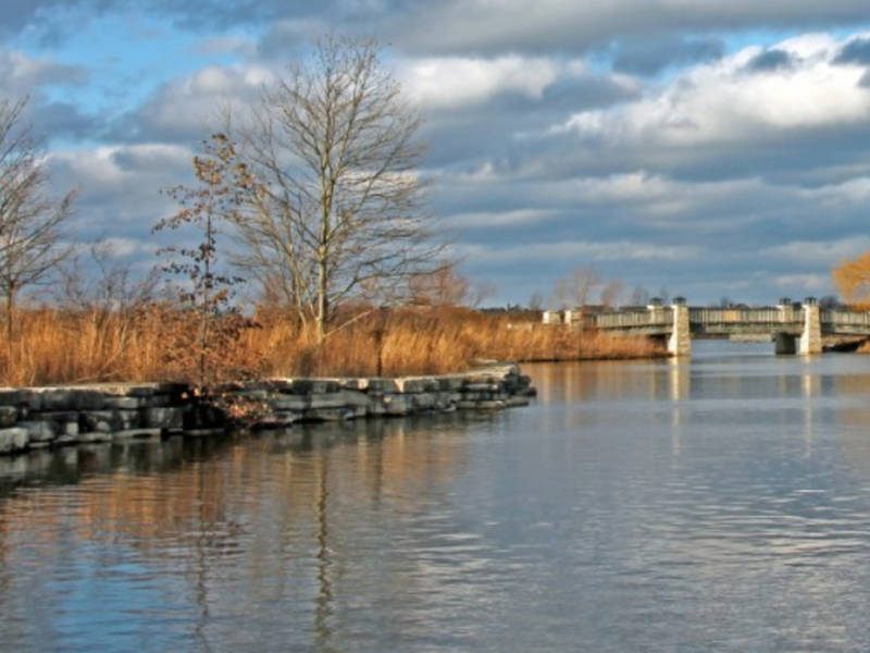 2nd Annual Fish Release Day At Lake Glenview Glenview, IL Patch