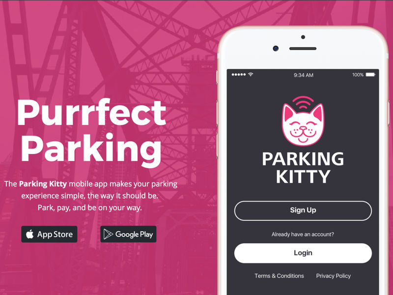 Parking Kitty To Purrfect The Parking Process In Portland Portland