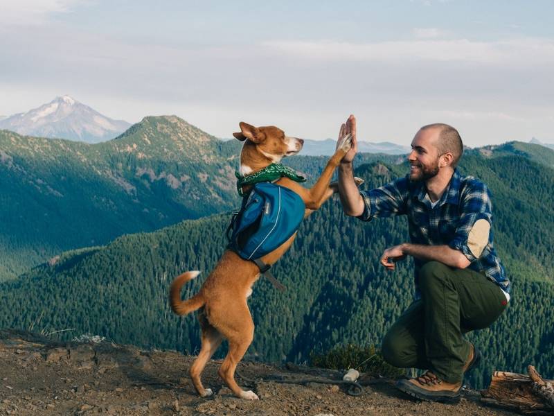 Best Places To Go In Portland With A Dog Best Places To Go In Portland With A Dog