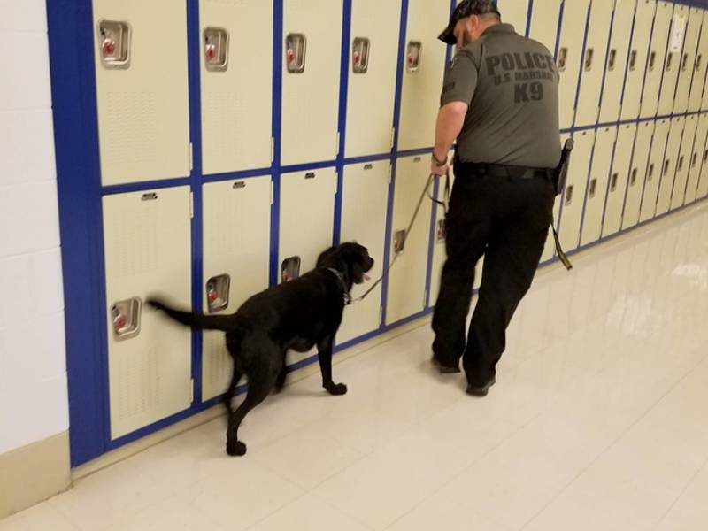 K-9 unit checks locker area of school