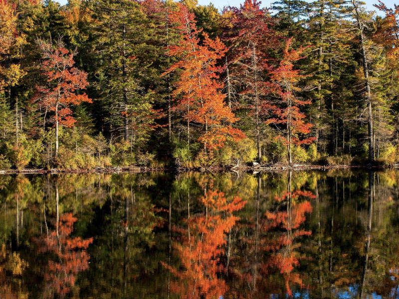 Nature S Home Nh Nature S Home Nh