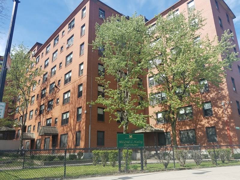 Jamaica Plain Shooting Caught On Video, Accused Held Without Bail