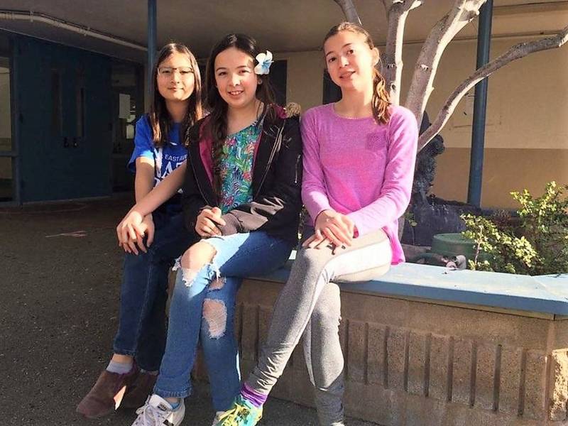 Essay contests for middle school students