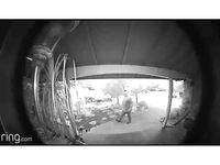 THIEF caught on video!