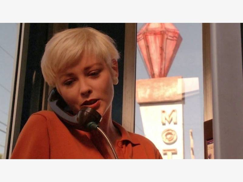 Twin Peaks Actress Pamela Gidley Dead at 52 | Salem, NH Patch